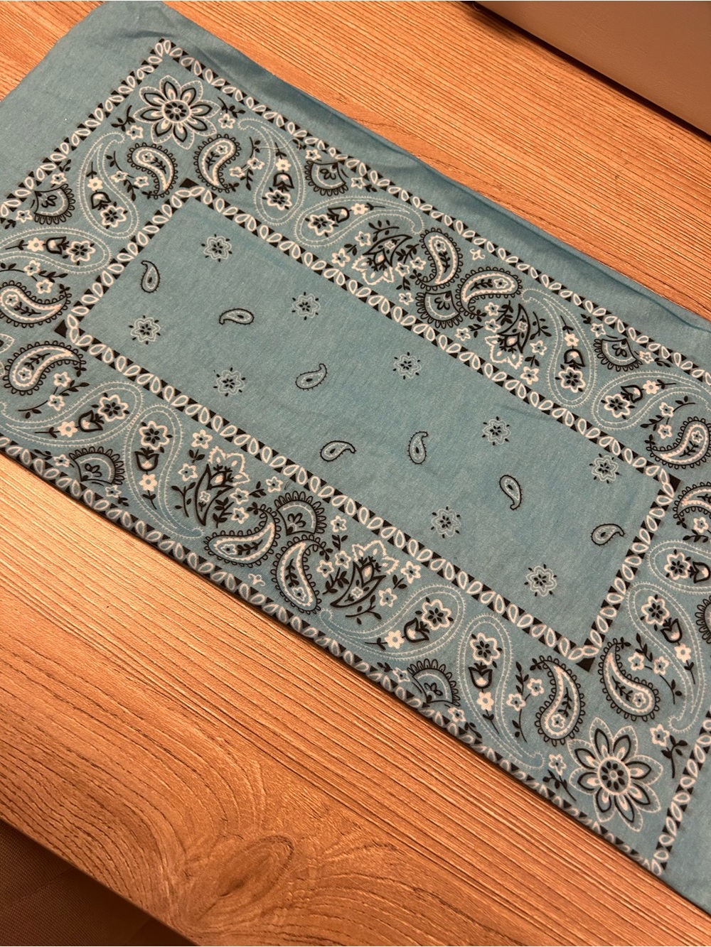 Blue Paisley handkerchief / headband